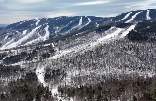 vlcsnap-2025-07-28-14h46m29s555