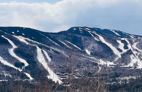 e9d30733-f926-4e59-9943-c4c9ccaea6cb