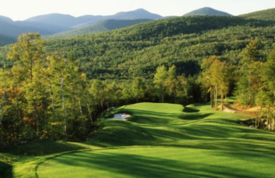 1178633599golfgreen
