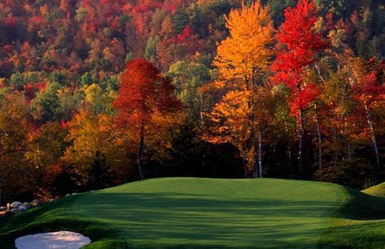 REV4th green in autumn (Medium)