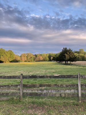 0226F325-46E6-4833-B416-44353589EE00