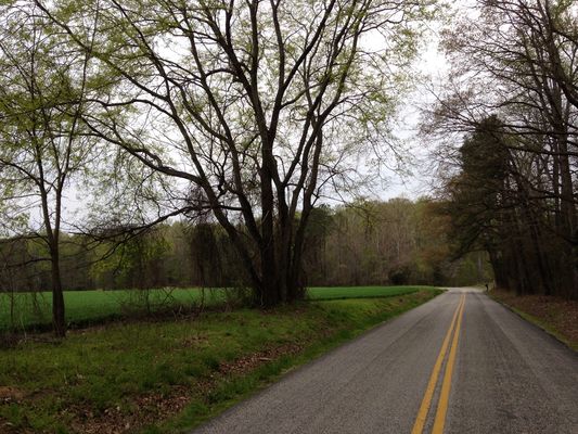 0DB167FE-97B9-4FFB-B52C-12D84EB671F9_1_201_a