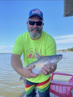 B3357D33-45FE-4EED-A93D-904A8FF57992_1_201_a