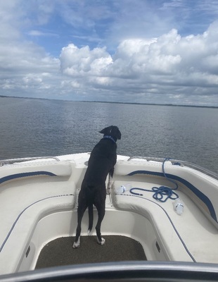 ED50AA77-F50E-4F47-8282-6D3F560EF0D2_1_201_a