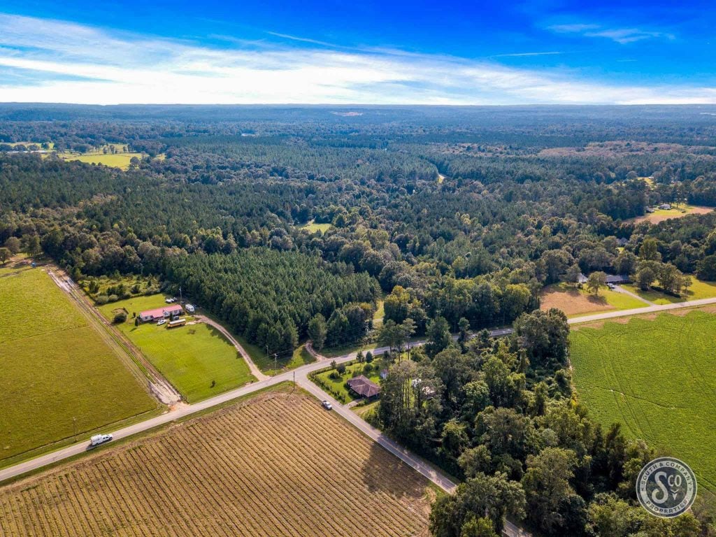 39 +/ acres Petal, MS 39465 South & Company Properties