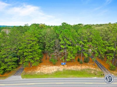 12-web-or-mls-land-12