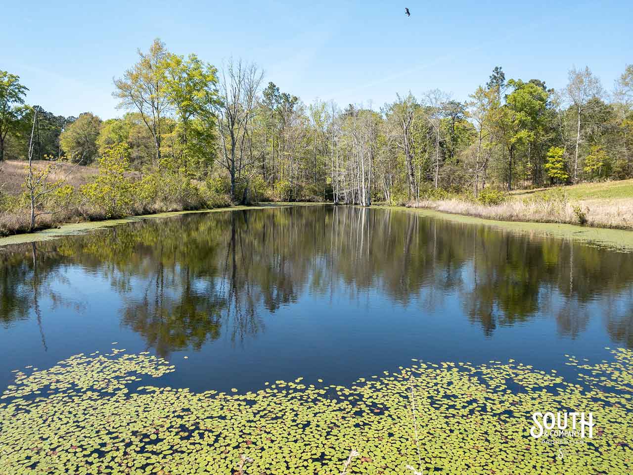 24 +/ ACRES LAMAR CO. OAK GROVE South & Company Properties