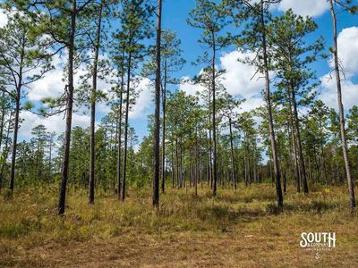 200-Forrest-Luther-Carter-Rd-101