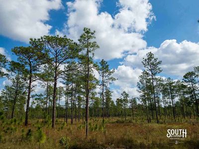 200-Forrest-Luther-Carter-Rd-102