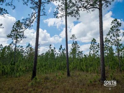 200-Forrest-Luther-Carter-Rd-104