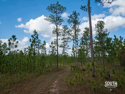 200-Forrest-Luther-Carter-Rd-105