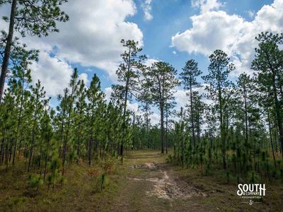 200-Forrest-Luther-Carter-Rd-106