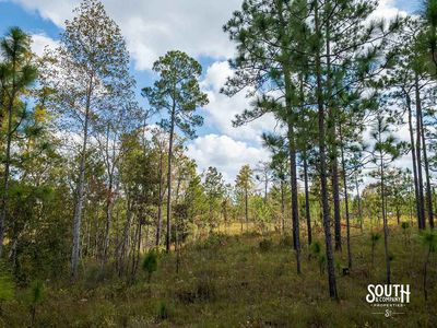 200-Forrest-Luther-Carter-Rd-107