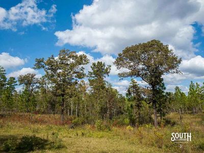 200-Forrest-Luther-Carter-Rd-109