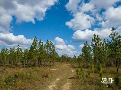 200-Forrest-Luther-Carter-Rd-110