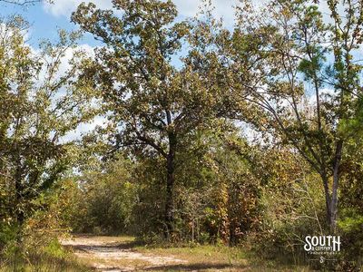 200-Forrest-Luther-Carter-Rd-111