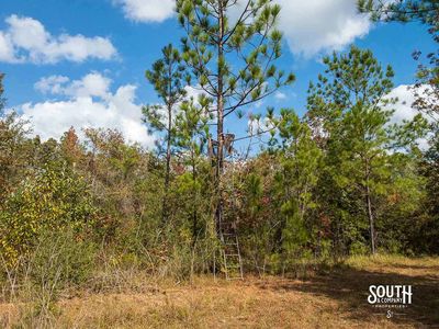 200-Forrest-Luther-Carter-Rd-112