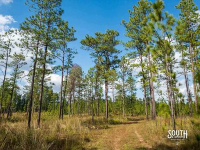 200-Forrest-Luther-Carter-Rd-113