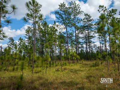 200-Forrest-Luther-Carter-Rd-114