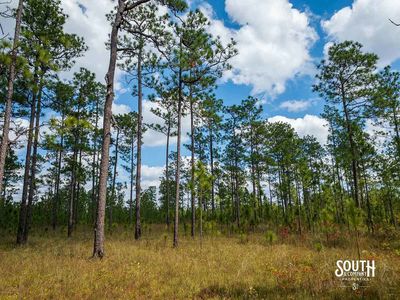 200-Forrest-Luther-Carter-Rd-115