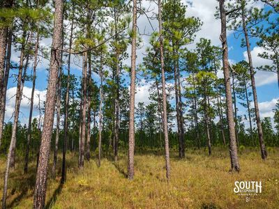 200-Forrest-Luther-Carter-Rd-116