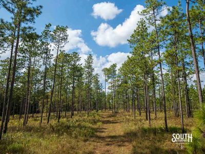 200-Forrest-Luther-Carter-Rd-117