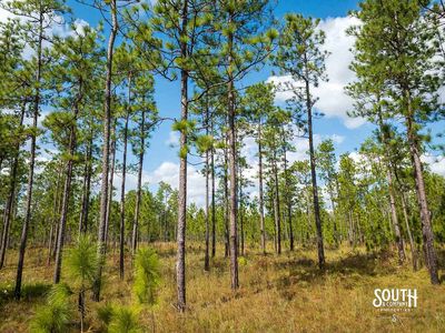 200-Forrest-Luther-Carter-Rd-118