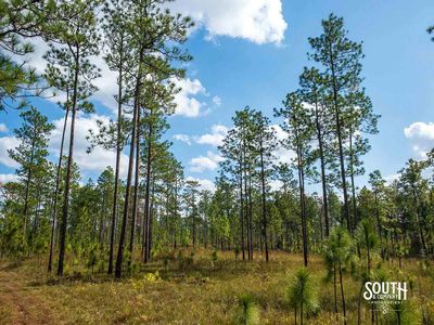 200-Forrest-Luther-Carter-Rd-119