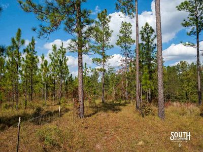 200-Forrest-Luther-Carter-Rd-120