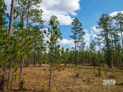 200-Forrest-Luther-Carter-Rd-121