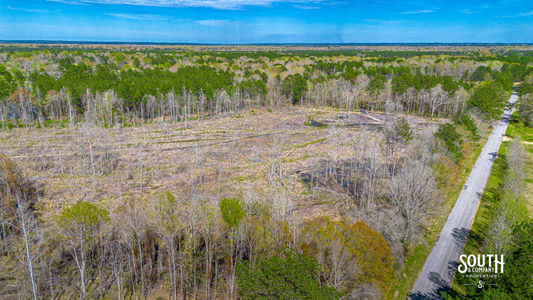 40 Acres Marion Mt. Caramel Church Rd &#8211; Johnson-13