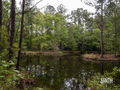 40 Marion-Oatis Camp Ln-101