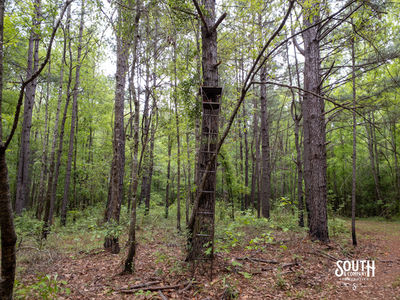 40 Marion-Oatis Camp Ln-102