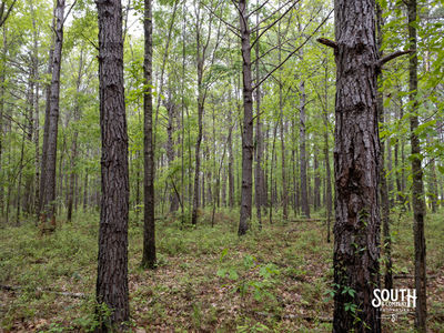 40 Marion-Oatis Camp Ln-103