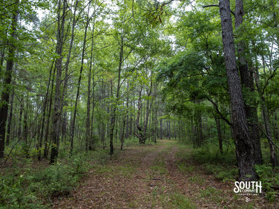 40 Marion-Oatis Camp Ln-104