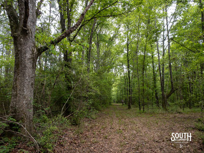 40 Marion-Oatis Camp Ln-105