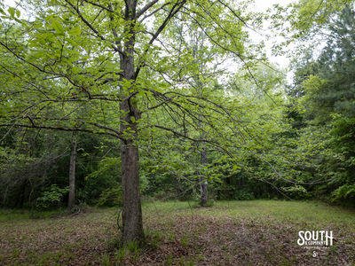 40 Marion-Oatis Camp Ln-106