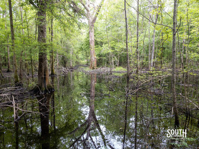 40 Marion-Oatis Camp Ln-107