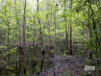 40 Marion-Oatis Camp Ln-108