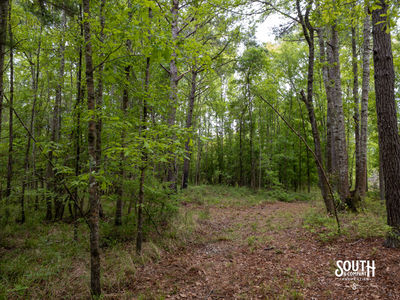 40 Marion-Oatis Camp Ln-109