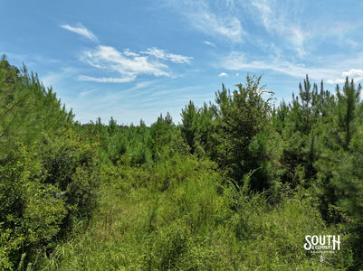 3.0 Forrest Highway 11-07