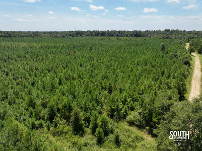 3.0 Forrest Highway 11-08