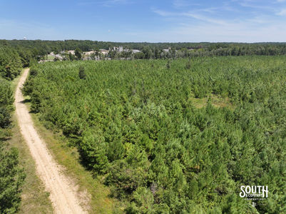 3.0 Forrest Highway 11-09