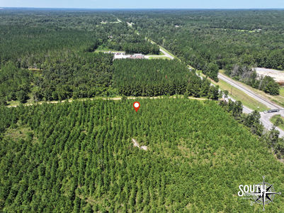 3.0 Forrest Highway 11-10