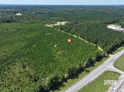 3.0 Forrest Highway 11-11