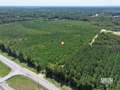 3.0 Forrest Highway 11-15