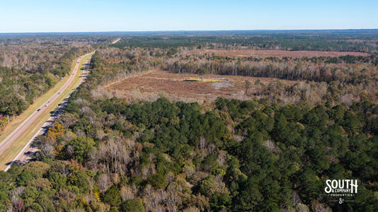 Bridges Rd-100 B