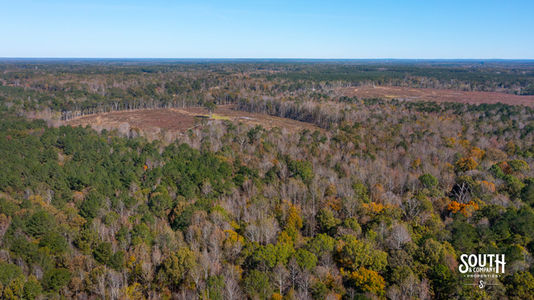 Bridges Rd-102 A