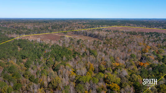 Bridges Rd-102 B