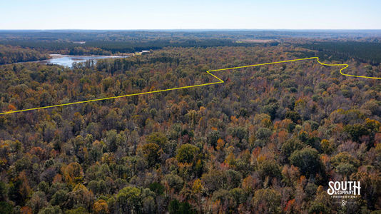 Bridges Rd-103 B